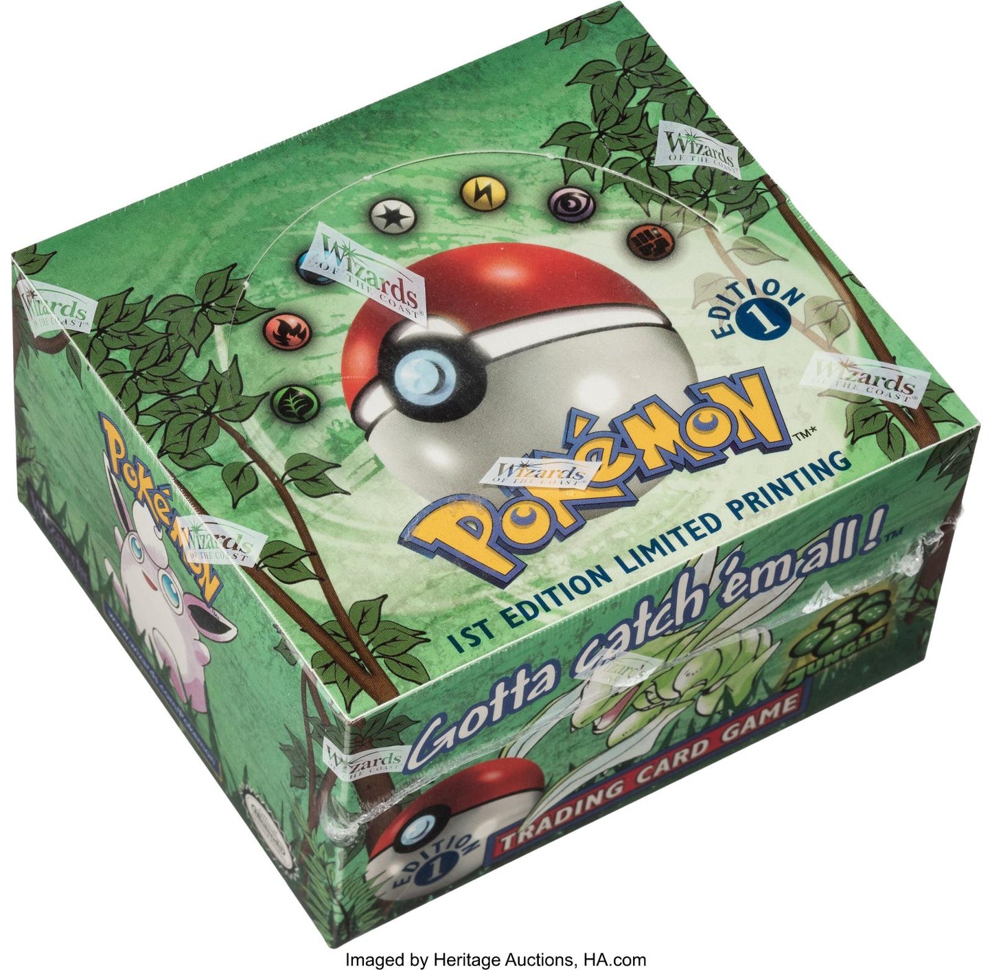 Jungle Booster Box – 1st Edition (Wizards of the Coast, Factory Sealed)