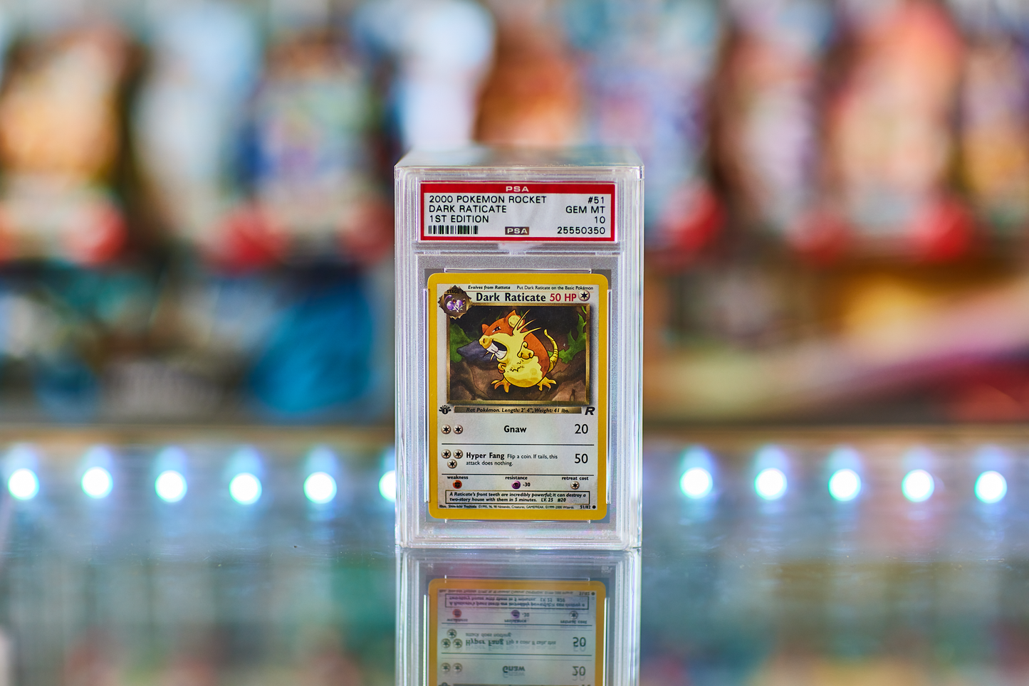 Team Rocket 1st Edition Complete PSA 10 Set 83/82