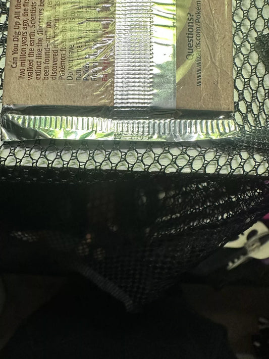 Fossil Booster Pack Unlimited Aerodactyl Art Wizards of the Coast